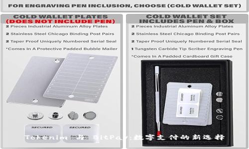 Tokenim 与 BitPay：数字支付的新选择