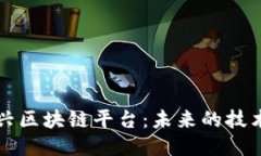 探索新兴区块链平台：未来的技术与应用