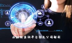 区块链查询平台领先公司解析