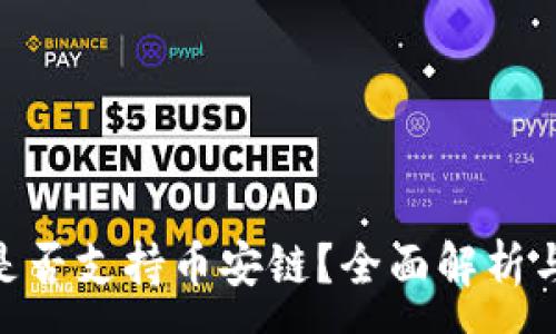 :
Tokenim是否支持币安链？全面解析与应用指南