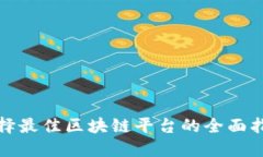 选择最佳区块链平台的全面指南