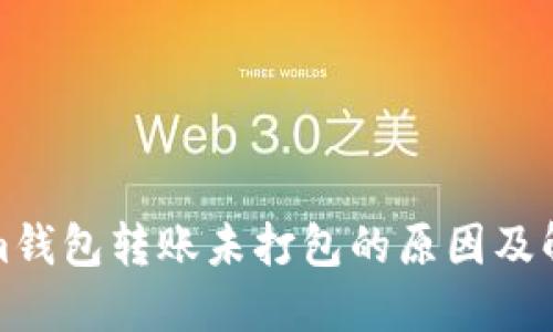 Tokenim钱包转账未打包的原因及解决方案