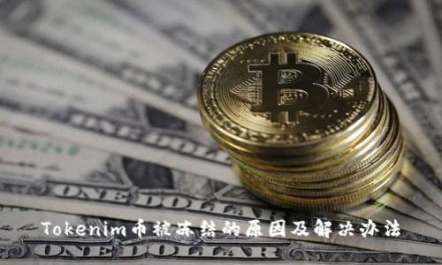 Tokenim币被冻结的原因及解决办法