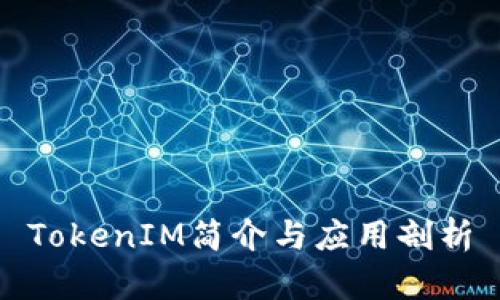 TokenIM简介与应用剖析