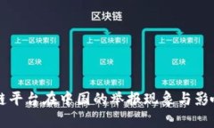 区块链平台在中国的举报现象与影响分析