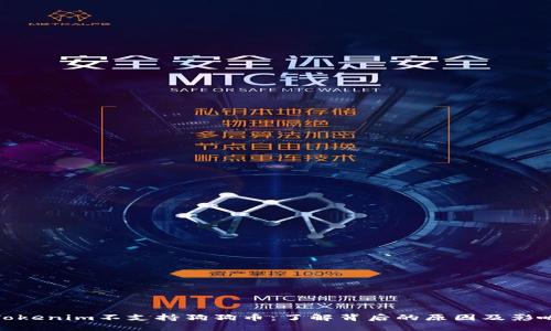 Tokenim不支持狗狗币：了解背后的原因及影响