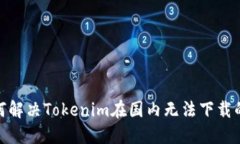 : 如何解决Tokenim在国内无法下载的问题