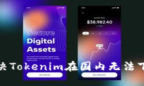 : 如何解决Tokenim在国内无法下载的问题