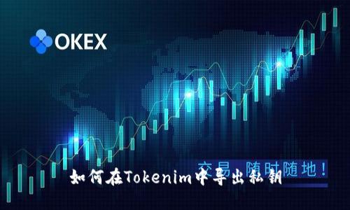 如何在Tokenim中导出私钥