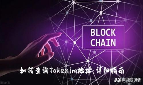 如何查询Tokenim地址：详细指南
