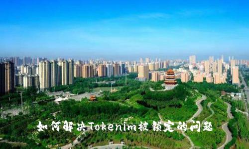 如何解决Tokenim被锁定的问题