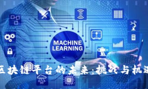 区块链平台的未来：挑战与机遇
