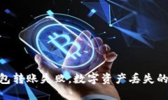 二级Tokenim钱包转账失败，数字资产丢失的原因及