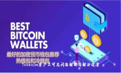 Tokenim资产不可见问题解析与解决方案