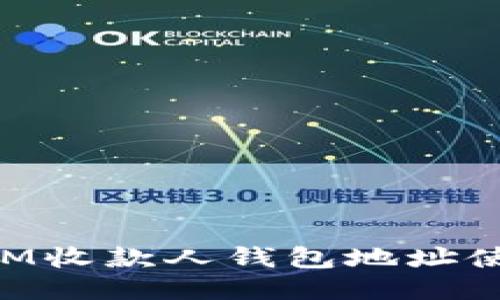 TokenIM收款人钱包地址使用指南
