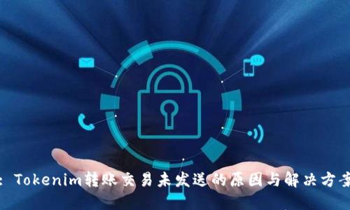 : Tokenim转账交易未发送的原因与解决方案
