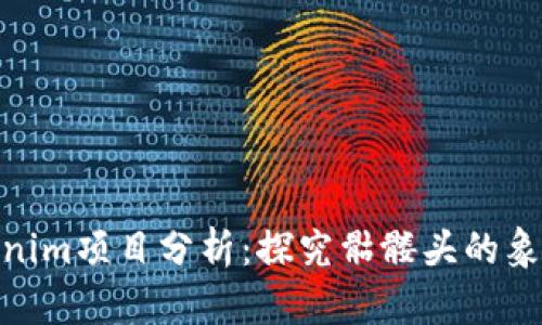 : Tokenim项目分析：探究骷髅头的象征意义