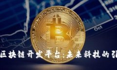 迪拜区块链开发平台：未来科技的引领者
