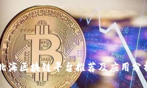 北海区块链平台推荐及应用分析