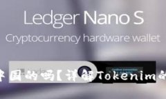 Tokenim是中国的吗？详解Tokenim的背景与发展