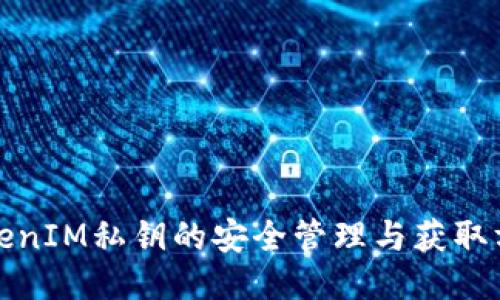 TokenIM私钥的安全管理与获取方法