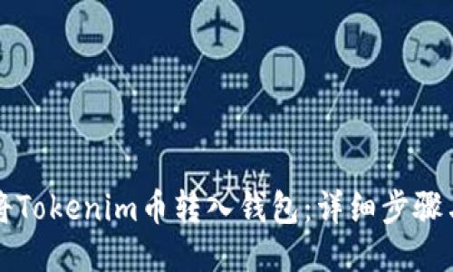 如何将Tokenim币转入钱包：详细步骤与指南