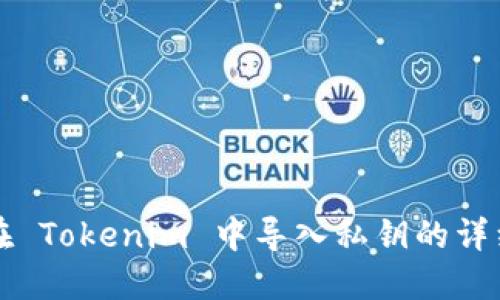 如何在 Tokenim 中导入私钥的详细指南