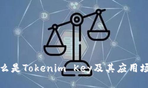 什么是Tokenim Key及其应用场景