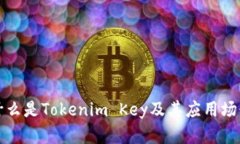 什么是Tokenim Key及其应用场景