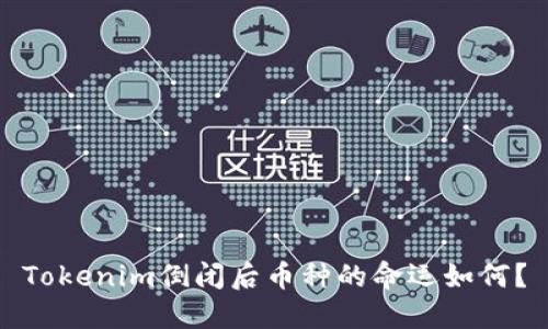 Tokenim倒闭后币种的命运如何？