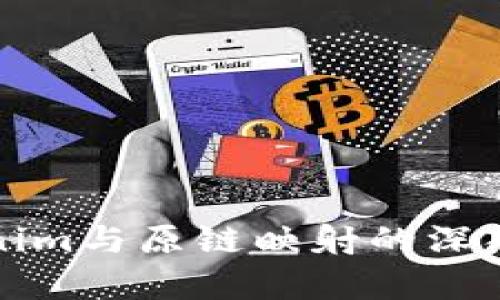 Tokenim与原链映射的深入解析