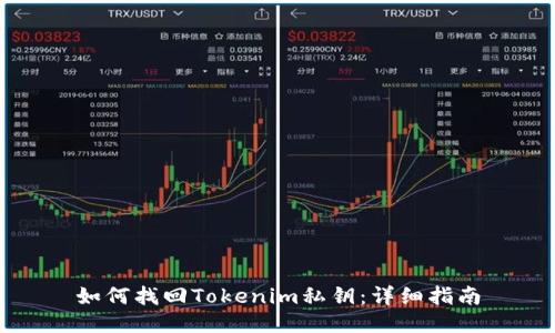 如何找回Tokenim私钥：详细指南