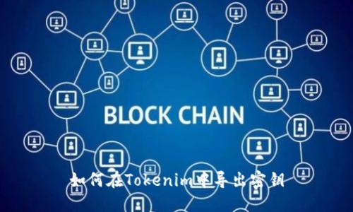 如何在Tokenim中导出密钥