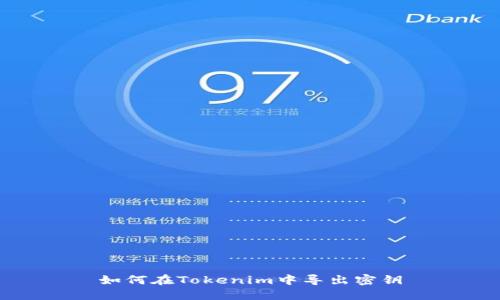 如何在Tokenim中导出密钥