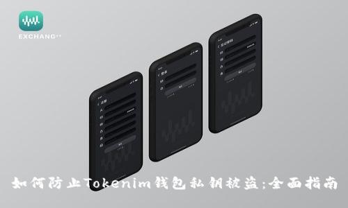 如何防止Tokenim钱包私钥被盗：全面指南