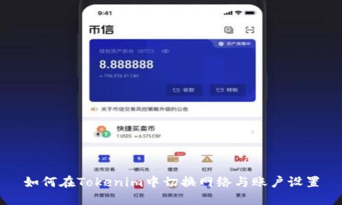 如何在Tokenim中切换网络与账户设置