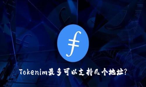 Tokenim最多可以支持几个地址?