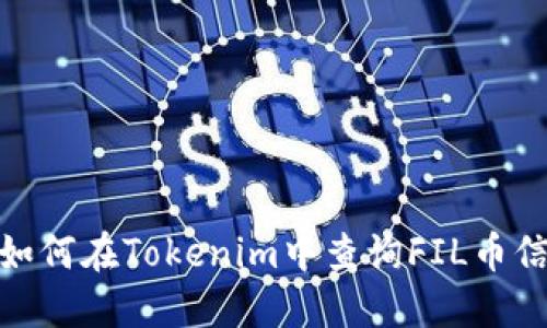 : 如何在Tokenim中查询FIL币信息