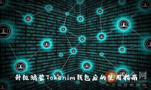 升级鸿蒙Tokenim钱包后的使用指南