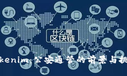 Tokenim：公安通管的前景与挑战