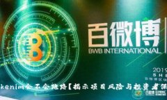 Tokenim会不会跑路？揭示项目风险与投资者保护