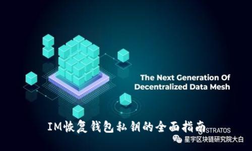 IM恢复钱包私钥的全面指南