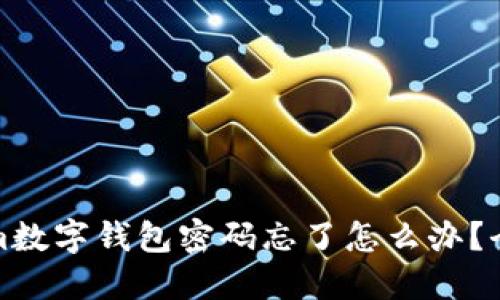 Tokenim数字钱包密码忘了怎么办？全面指南