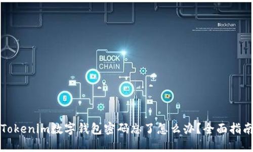 Tokenim数字钱包密码忘了怎么办？全面指南
