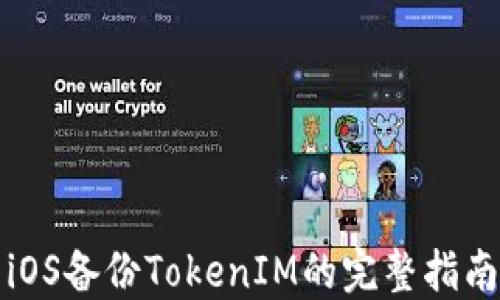 
iOS备份TokenIM的完整指南