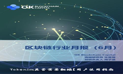 Tokenim是否需要翻墙？用户使用指南