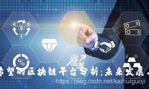 设置
最有希望的区块链平台分析:未来发展与潜力