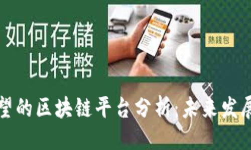 设置

最有希望的区块链平台分析：未来发展与潜力