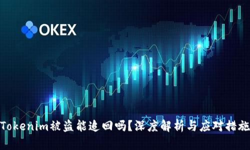 Tokenim被盗能追回吗？深度解析与应对措施