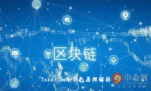 Tokenim冷钱包原理解析